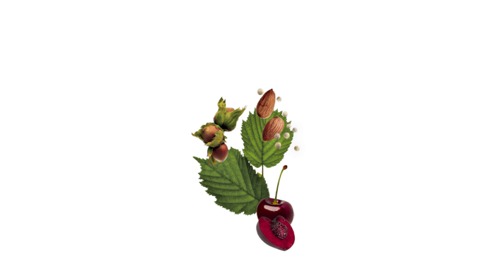 ingredient Martell single cru Petite champagne