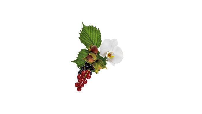 Martell Chanteloup XXO ingredients
